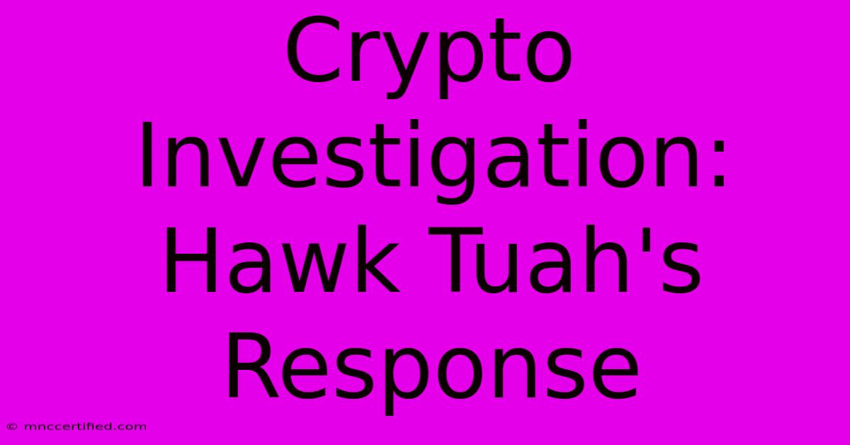 Crypto Investigation: Hawk Tuah's Response