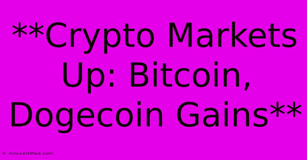 **Crypto Markets Up: Bitcoin, Dogecoin Gains**