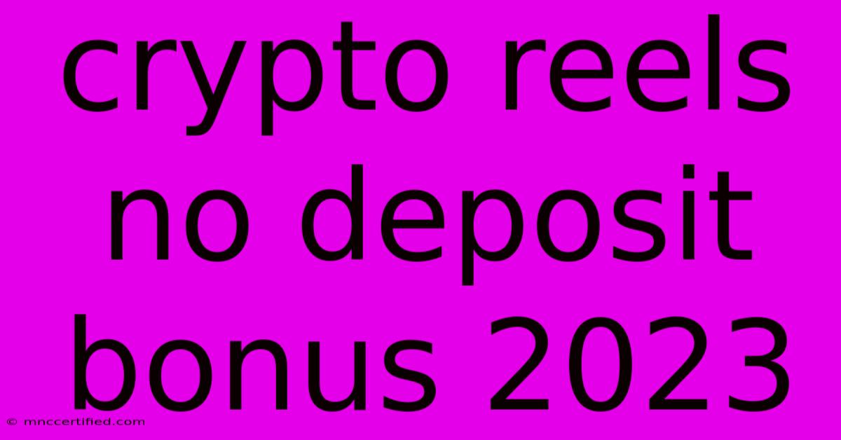 Crypto Reels No Deposit Bonus 2023