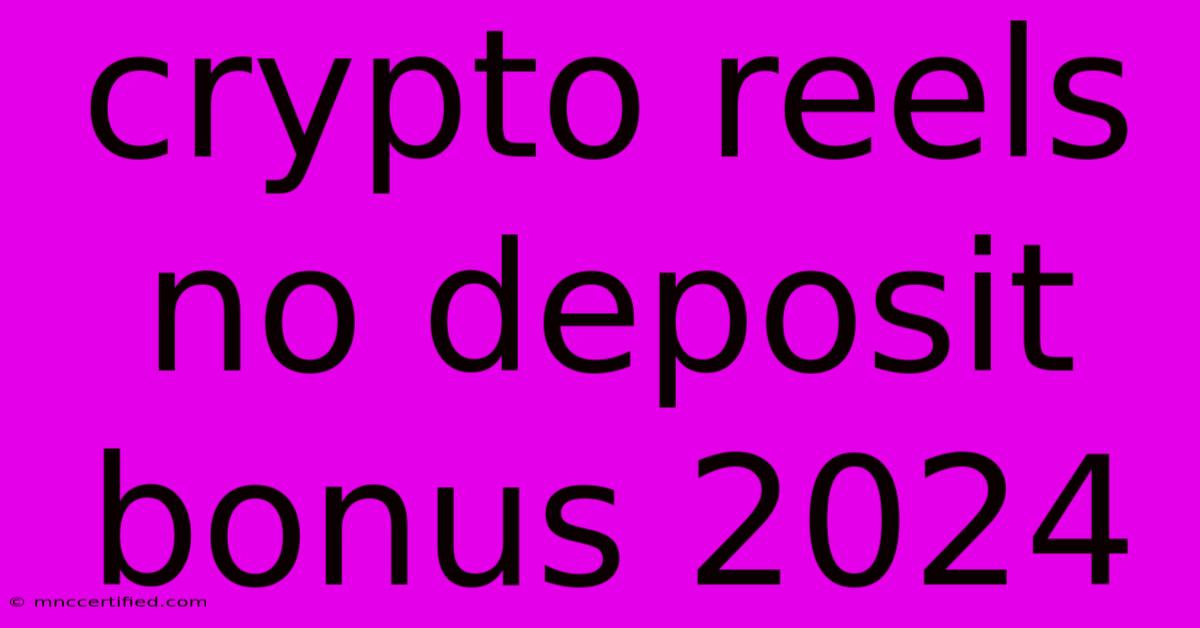 Crypto Reels No Deposit Bonus 2024