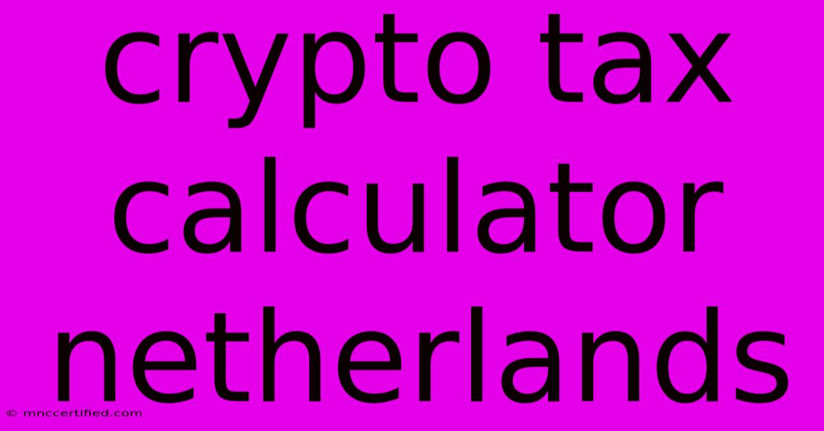 Crypto Tax Calculator Netherlands