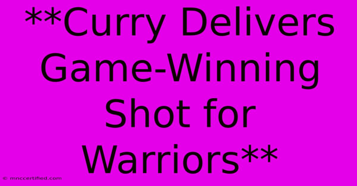 **Curry Delivers Game-Winning Shot For Warriors**