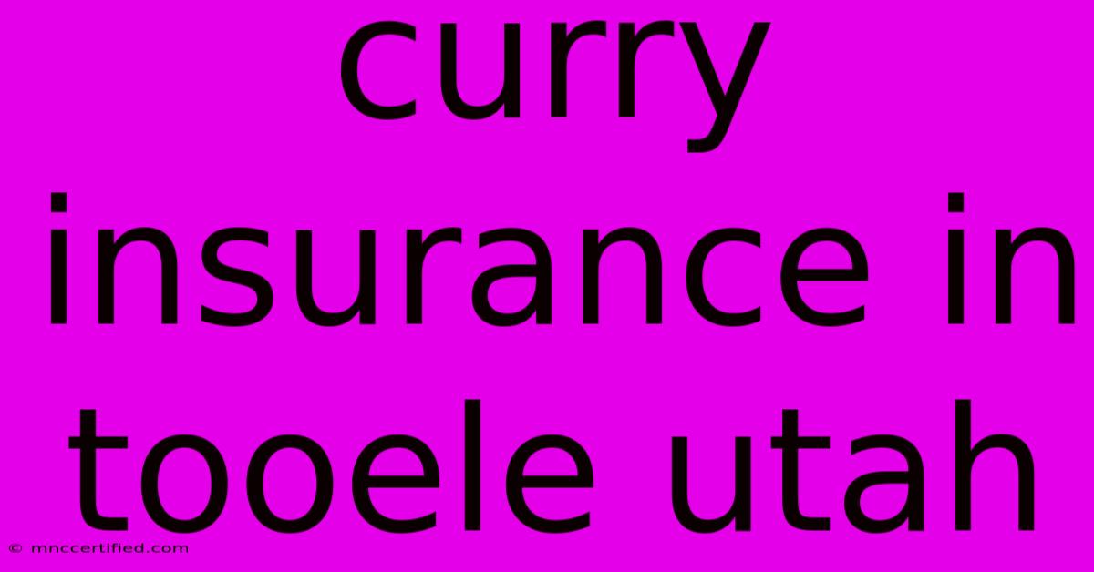 Curry Insurance In Tooele Utah