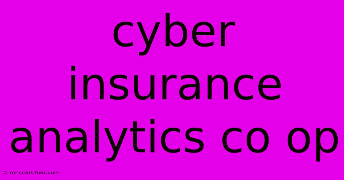 Cyber Insurance Analytics Co Op