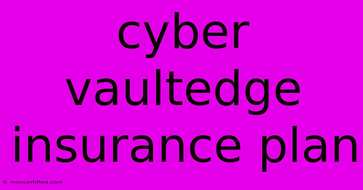 Cyber Vaultedge Insurance Plan