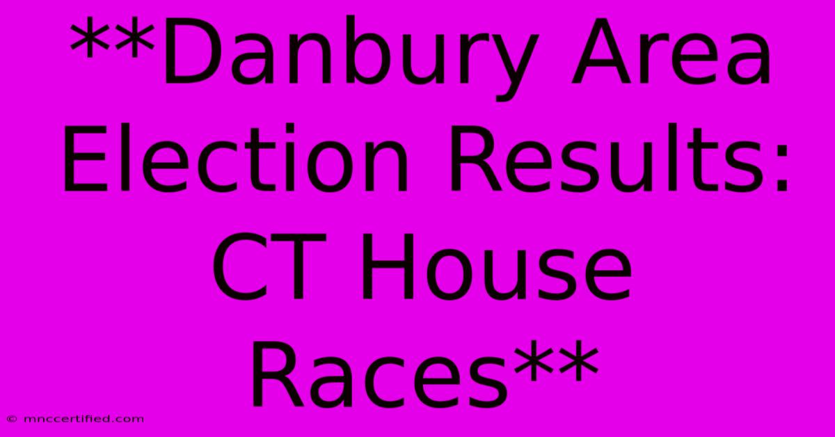 **Danbury Area Election Results: CT House Races** 