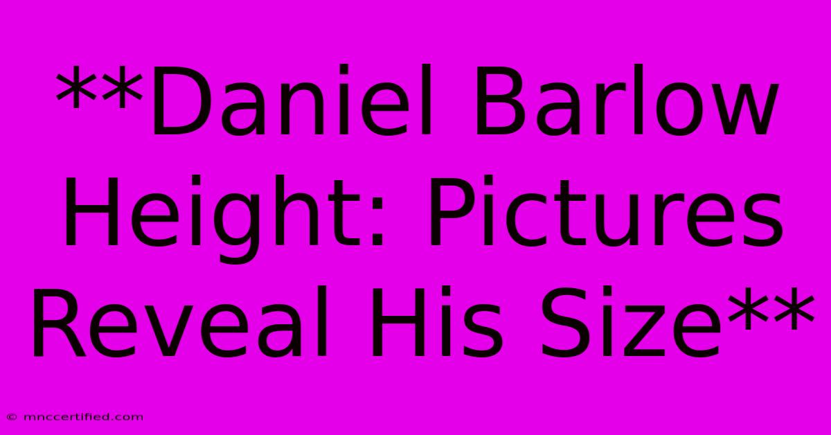 **Daniel Barlow Height: Pictures Reveal His Size**