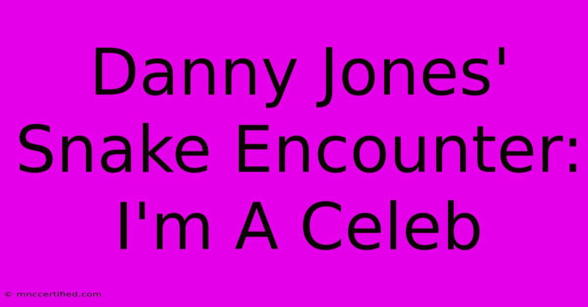 Danny Jones' Snake Encounter: I'm A Celeb