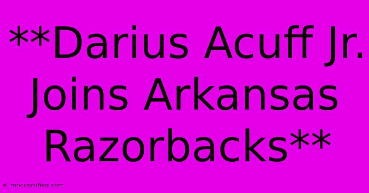 **Darius Acuff Jr. Joins Arkansas Razorbacks**