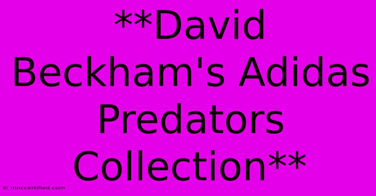 **David Beckham's Adidas Predators Collection**