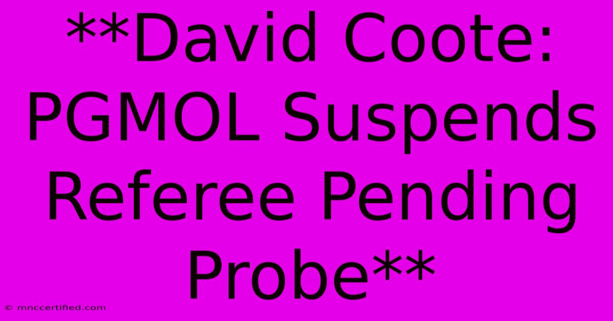 **David Coote: PGMOL Suspends Referee Pending Probe**