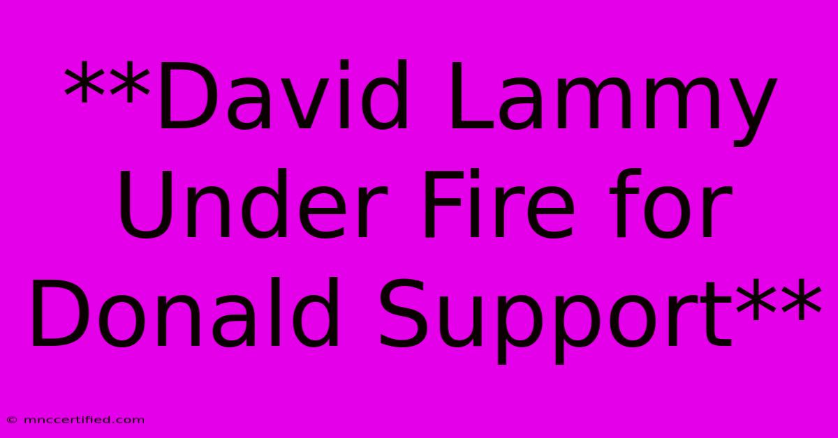 **David Lammy Under Fire For Donald Support**