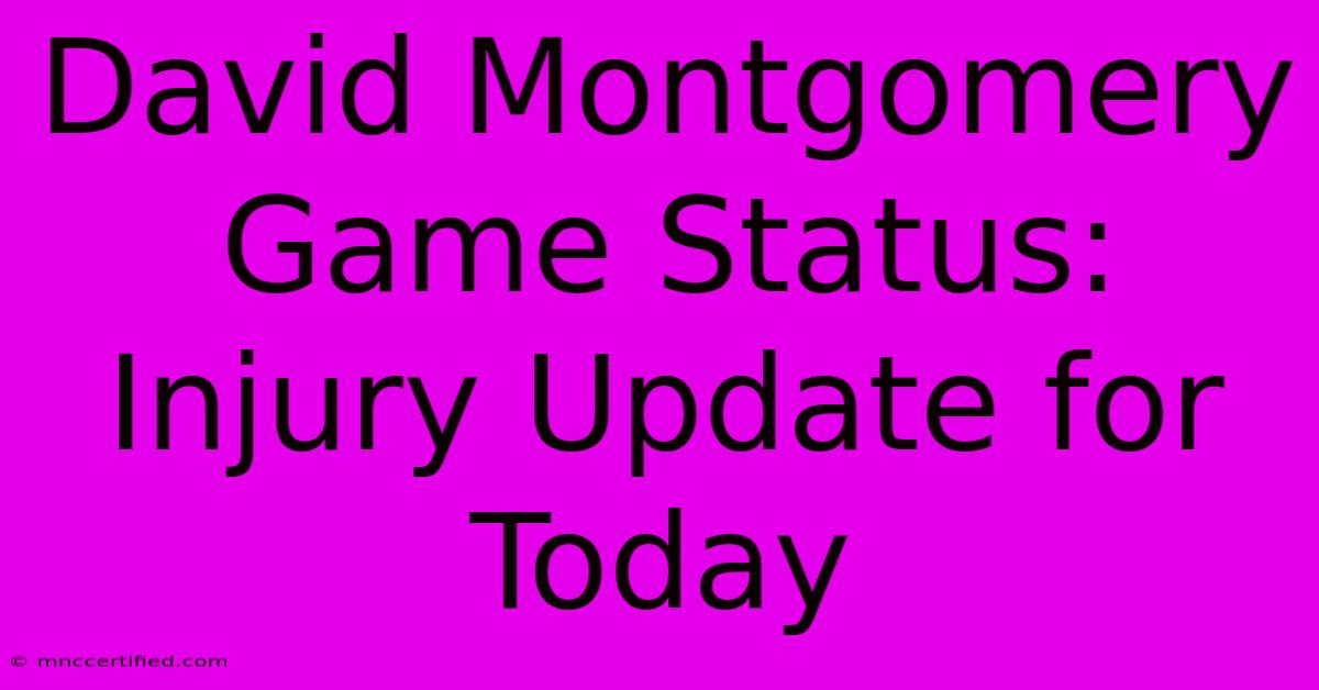 David Montgomery Game Status: Injury Update For Today