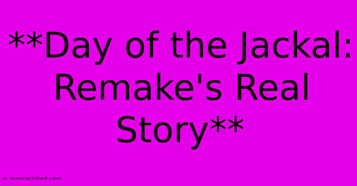 **Day Of The Jackal: Remake's Real Story**