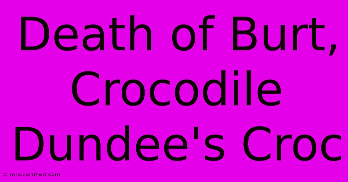 Death Of Burt, Crocodile Dundee's Croc