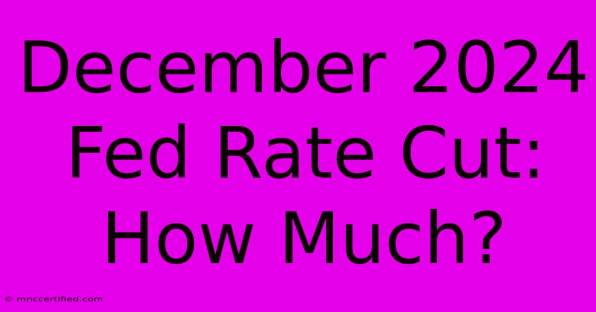 December 2024 Fed Rate Cut: How Much?