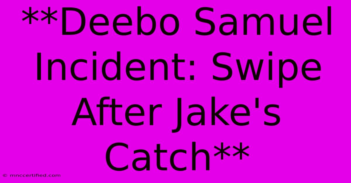 **Deebo Samuel Incident: Swipe After Jake's Catch**