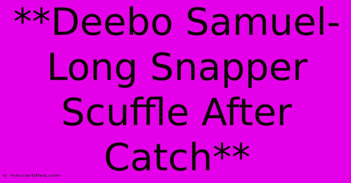 **Deebo Samuel-Long Snapper Scuffle After Catch** 