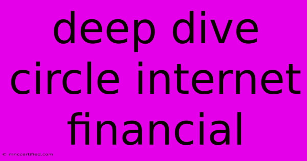 Deep Dive Circle Internet Financial