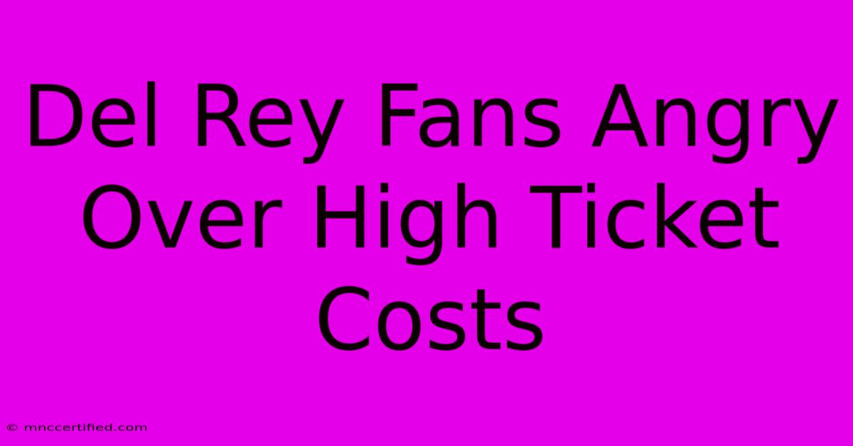 Del Rey Fans Angry Over High Ticket Costs