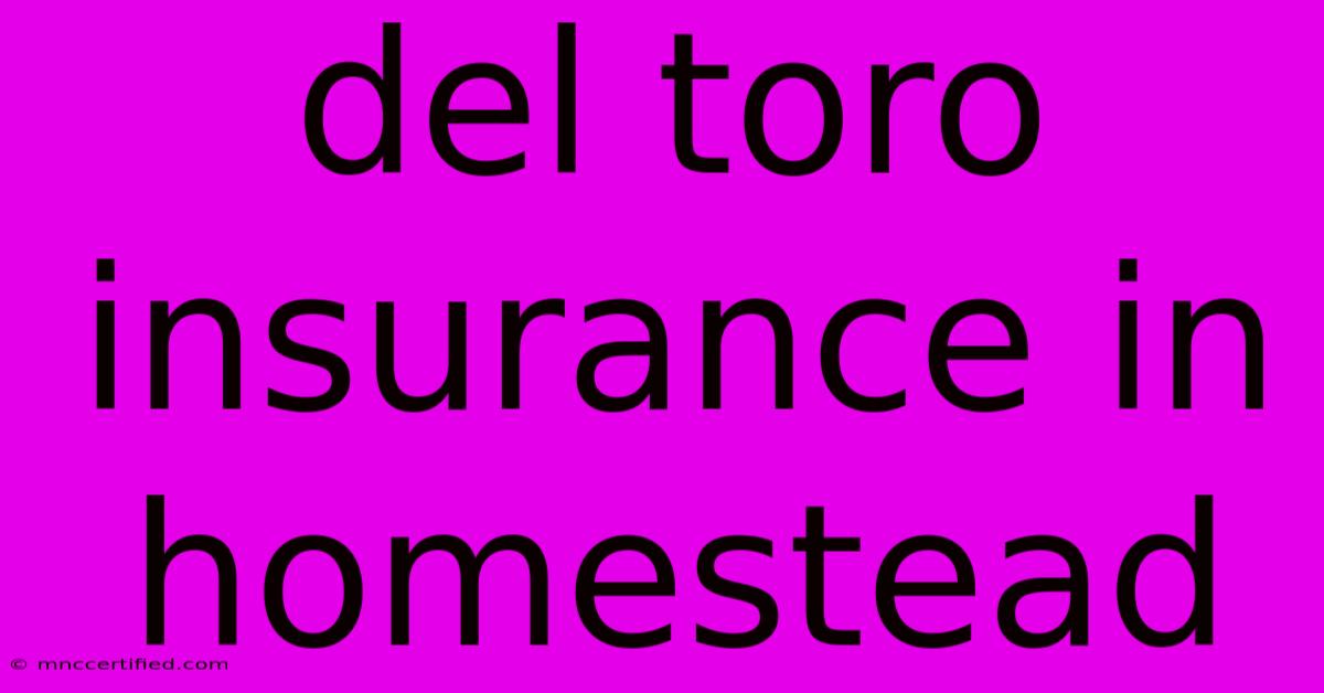 Del Toro Insurance In Homestead