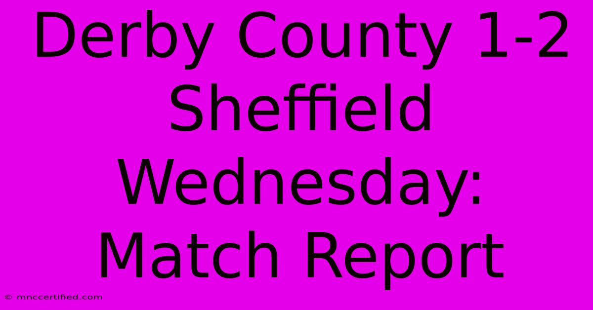 Derby County 1-2 Sheffield Wednesday: Match Report