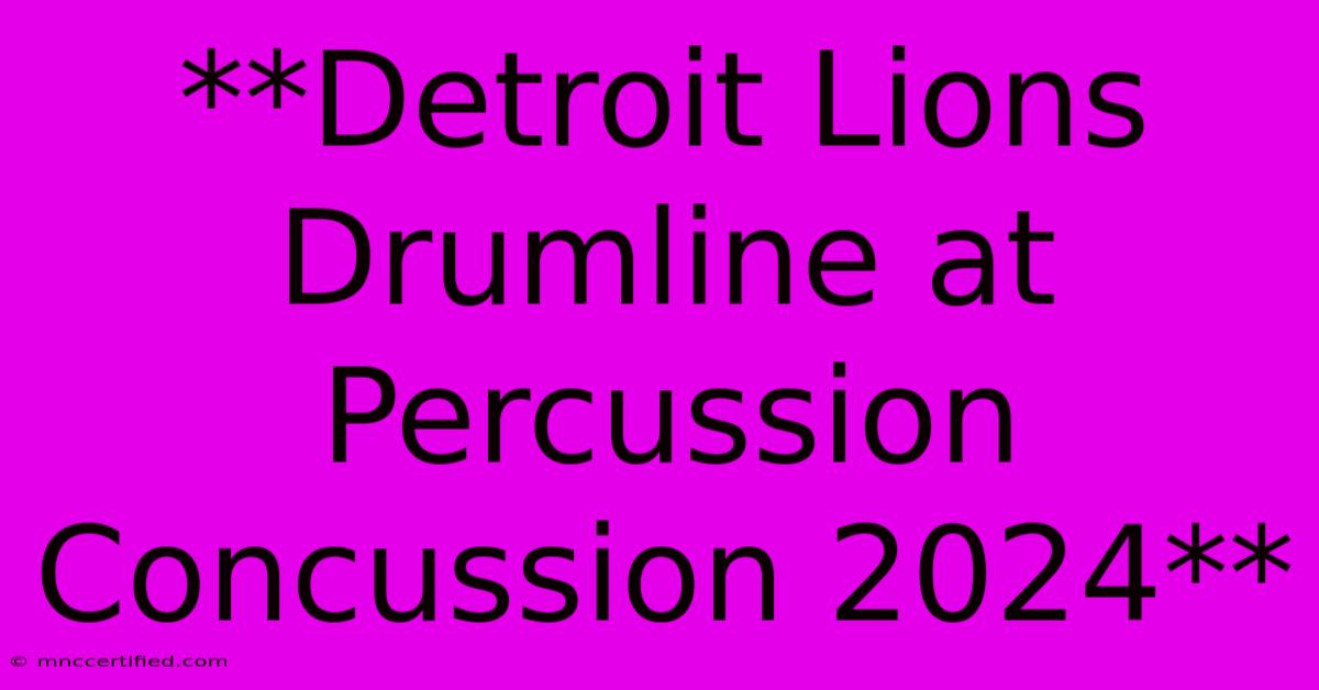 **Detroit Lions Drumline At Percussion Concussion 2024** 