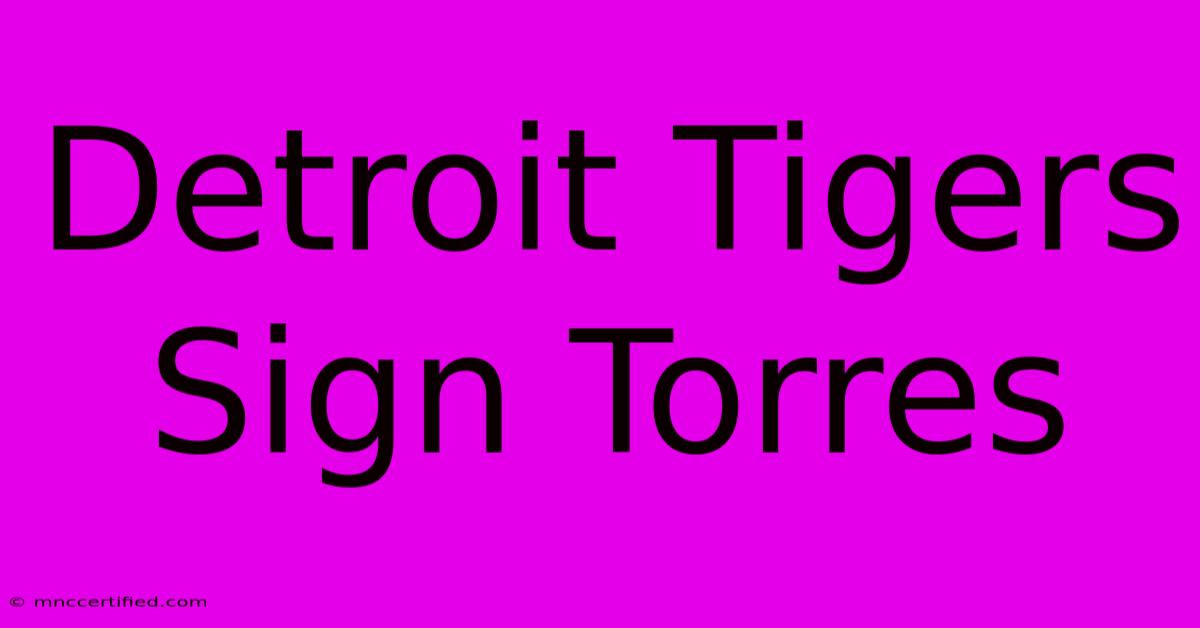 Detroit Tigers Sign Torres