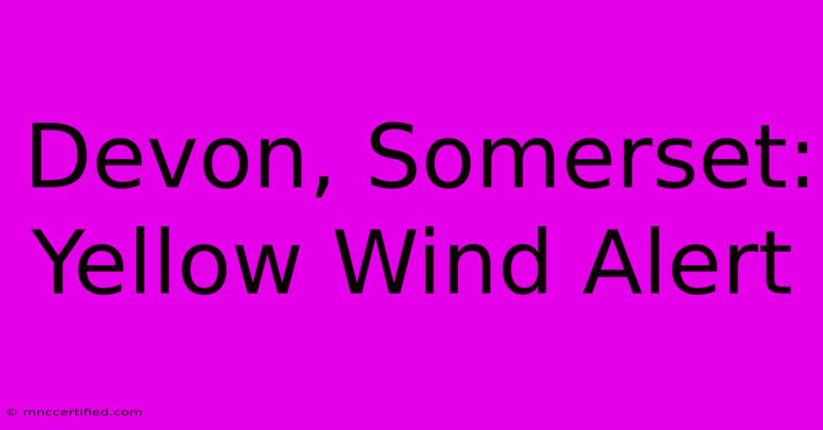 Devon, Somerset: Yellow Wind Alert