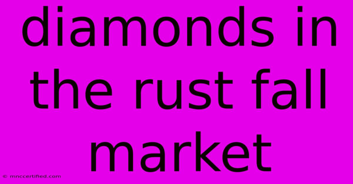 Diamonds In The Rust Fall Market