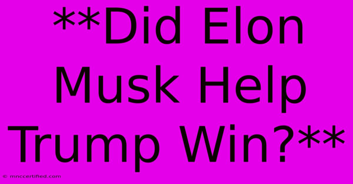 **Did Elon Musk Help Trump Win?**