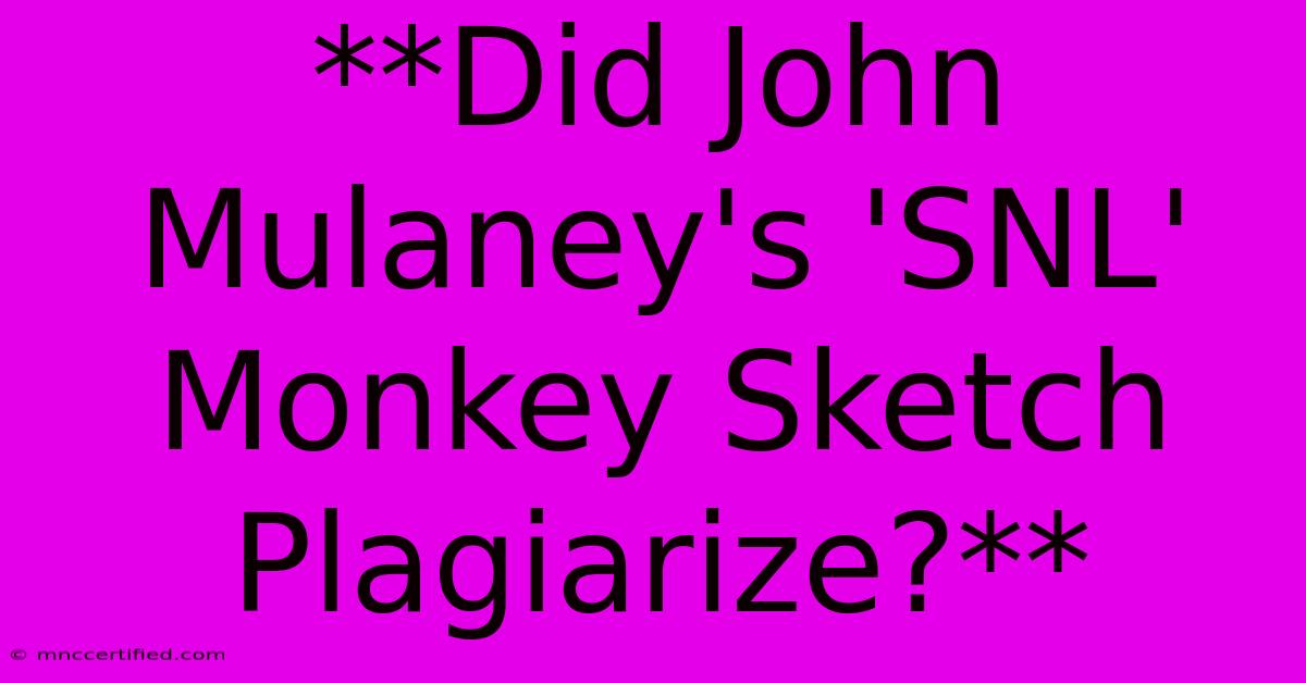 **Did John Mulaney's 'SNL' Monkey Sketch Plagiarize?**