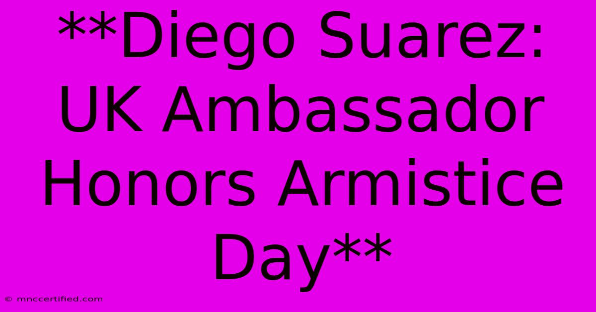 **Diego Suarez: UK Ambassador Honors Armistice Day**