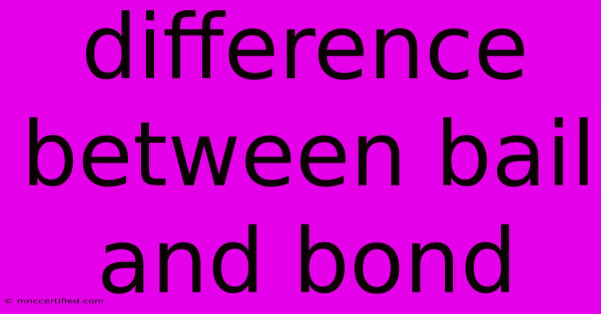 Difference Between Bail And Bond