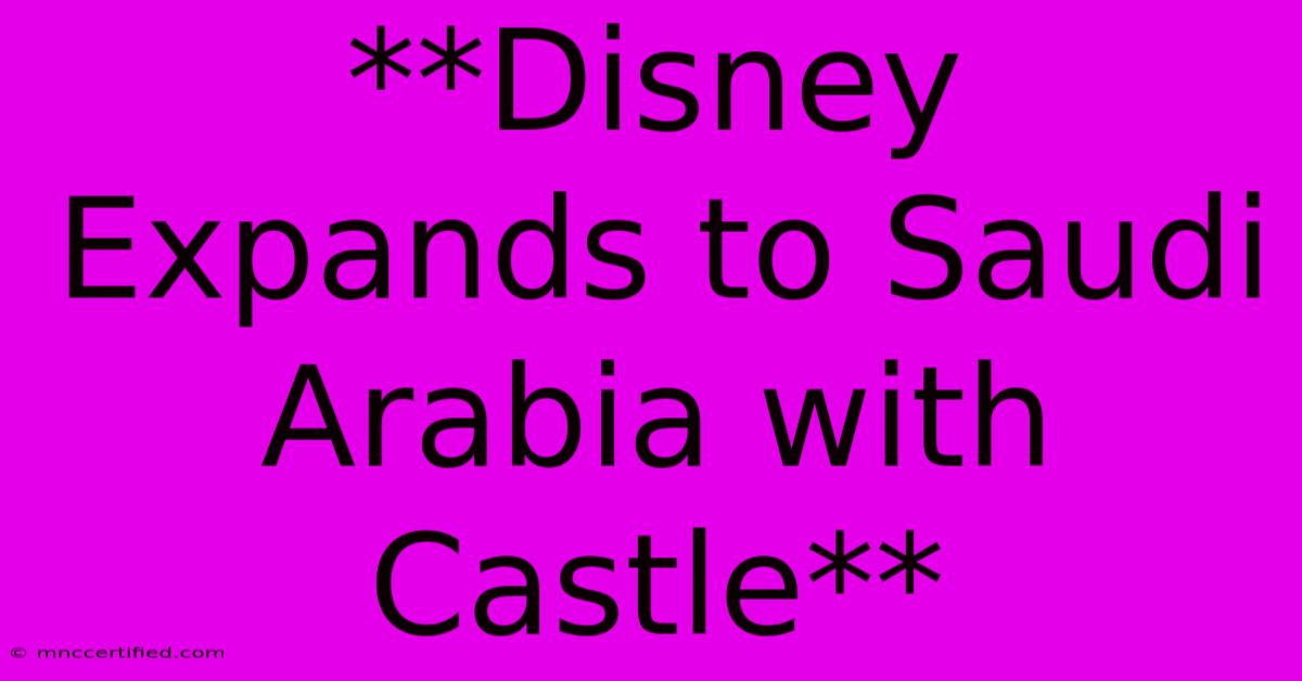 **Disney Expands To Saudi Arabia With Castle** 