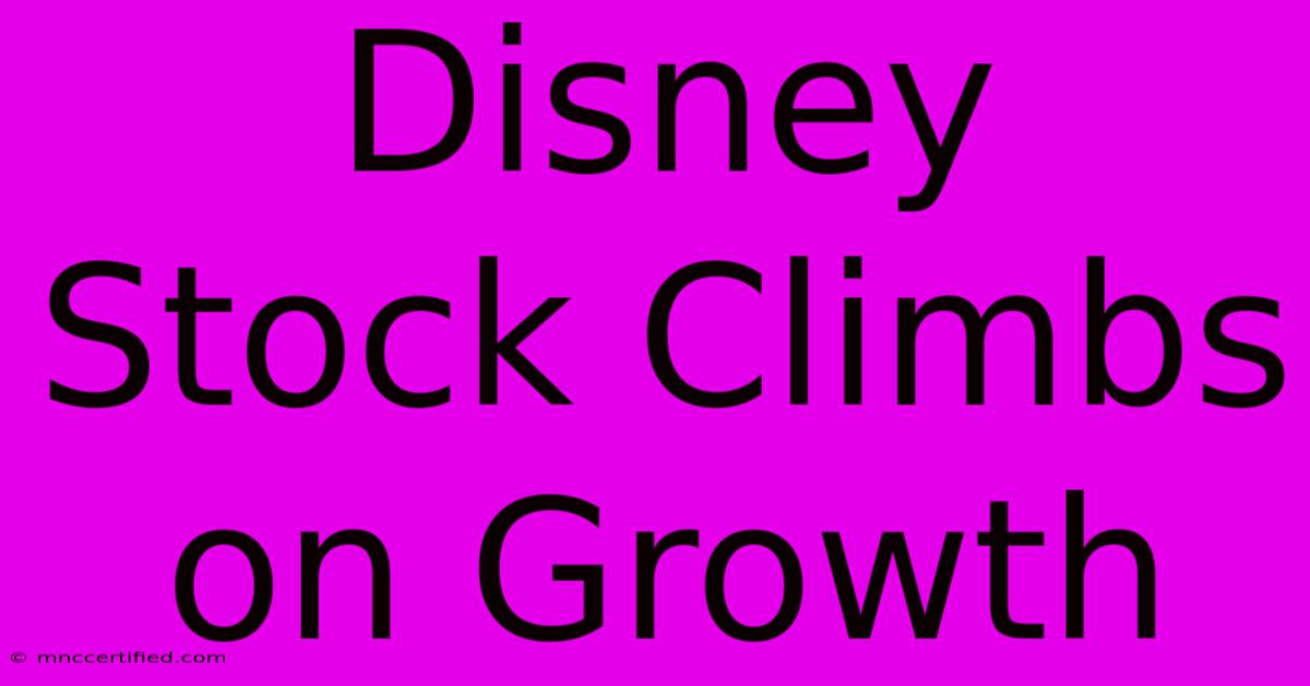 Disney Stock Climbs On Growth