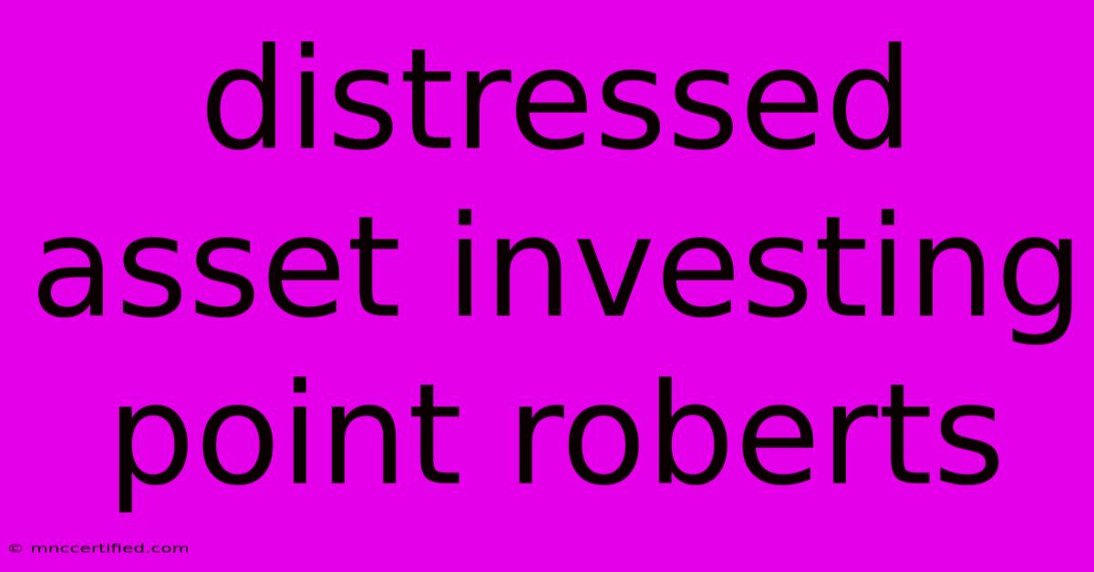 Distressed Asset Investing Point Roberts