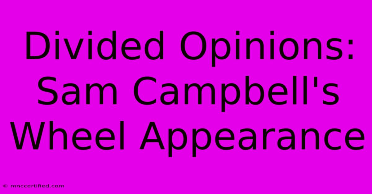 Divided Opinions: Sam Campbell's Wheel Appearance