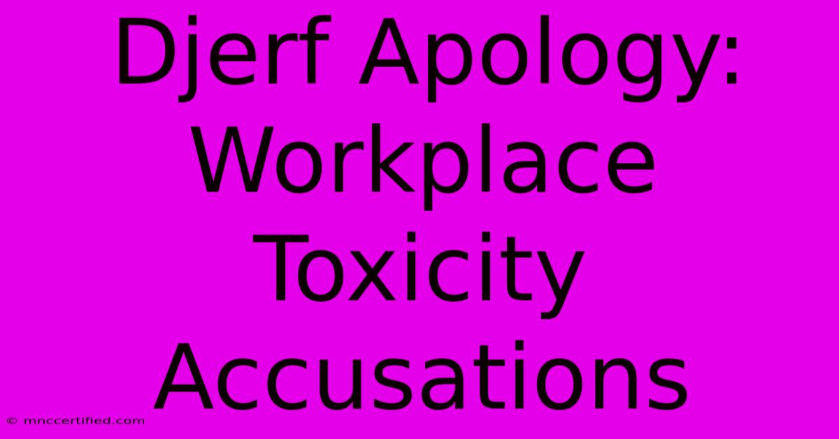 Djerf Apology: Workplace Toxicity Accusations