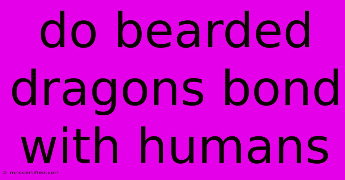 Do Bearded Dragons Bond With Humans