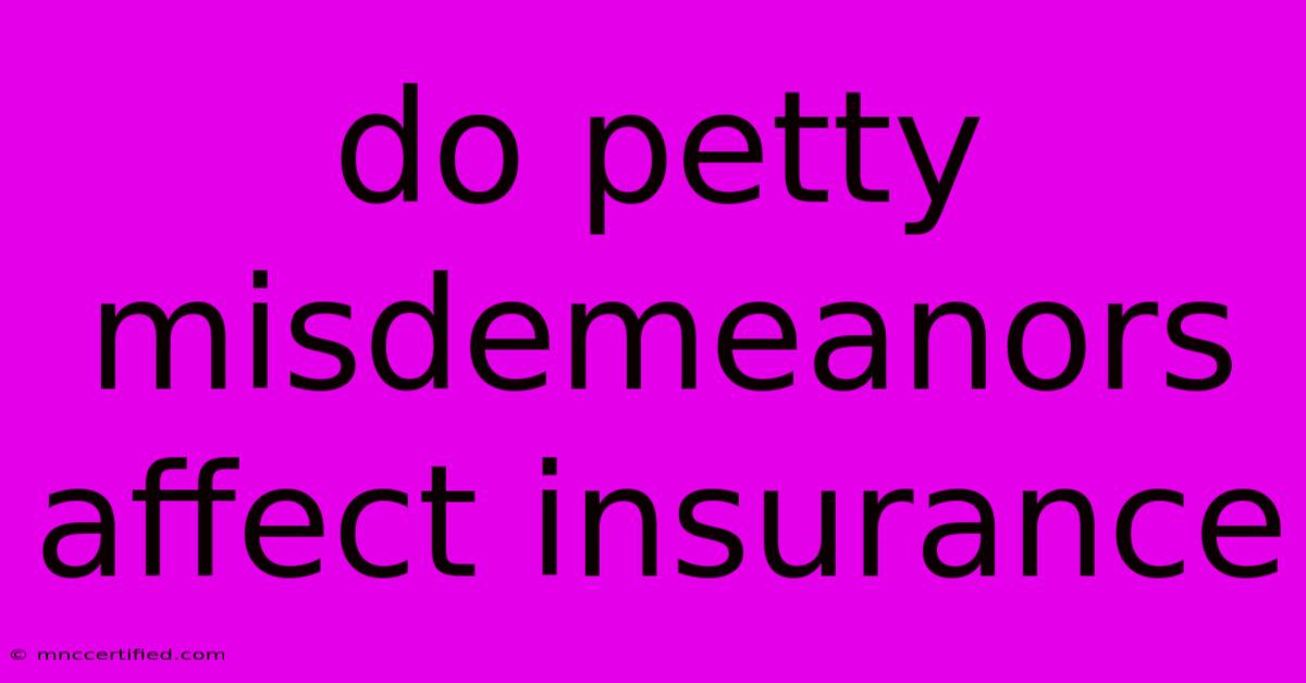 Do Petty Misdemeanors Affect Insurance