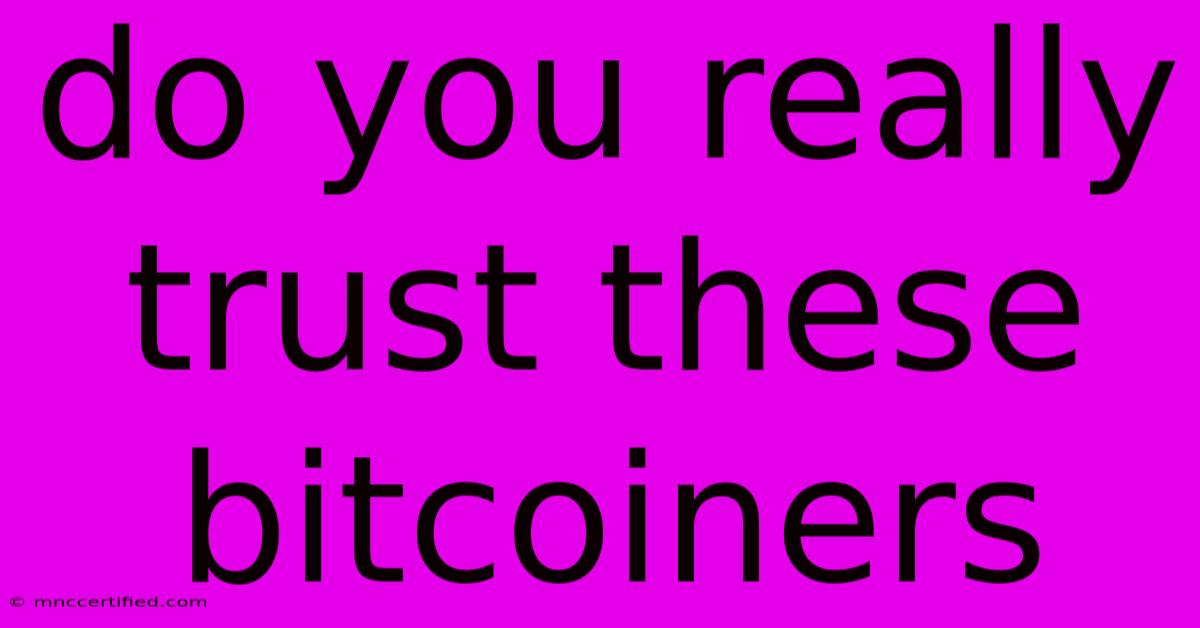 Do You Really Trust These Bitcoiners