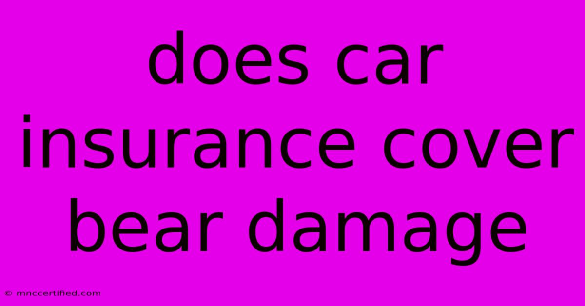 Does Car Insurance Cover Bear Damage