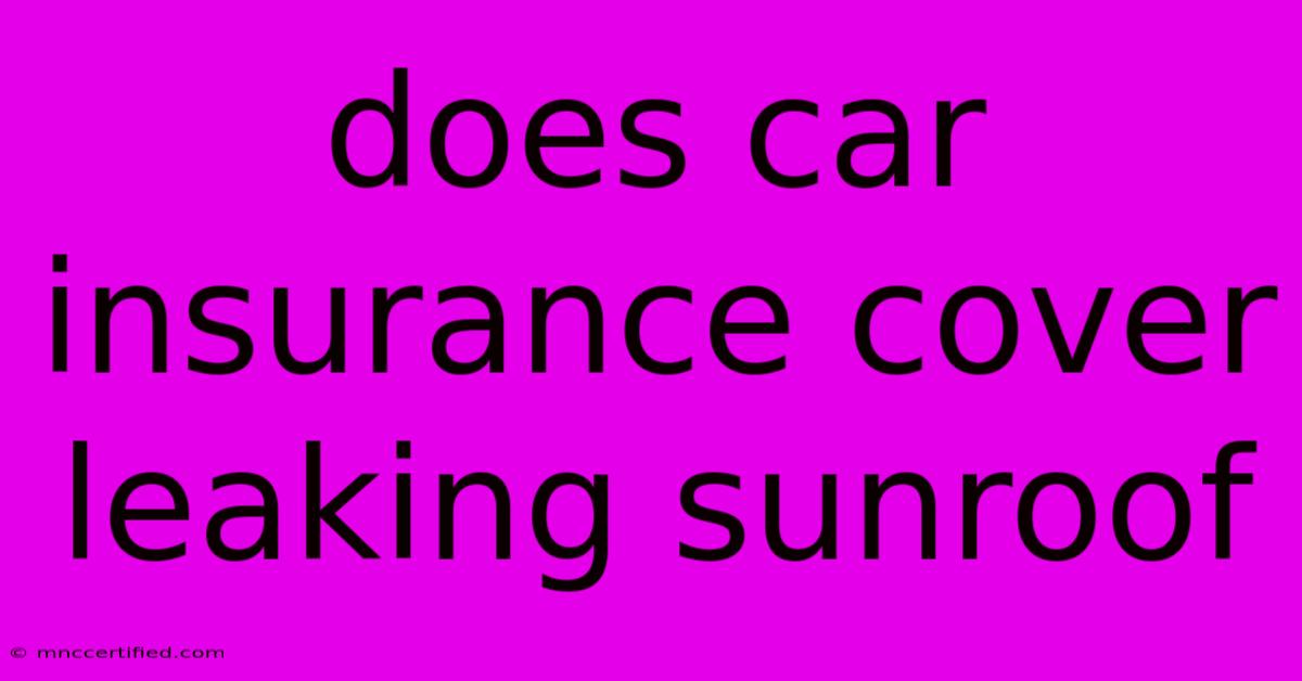 Does Car Insurance Cover Leaking Sunroof