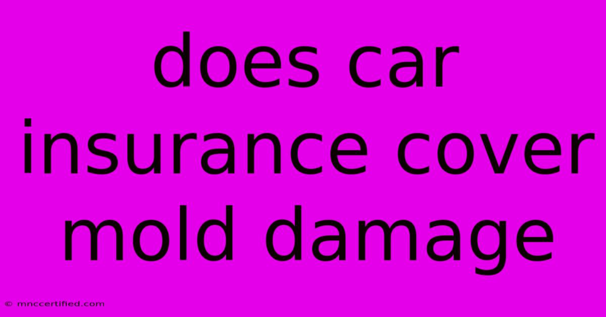 Does Car Insurance Cover Mold Damage