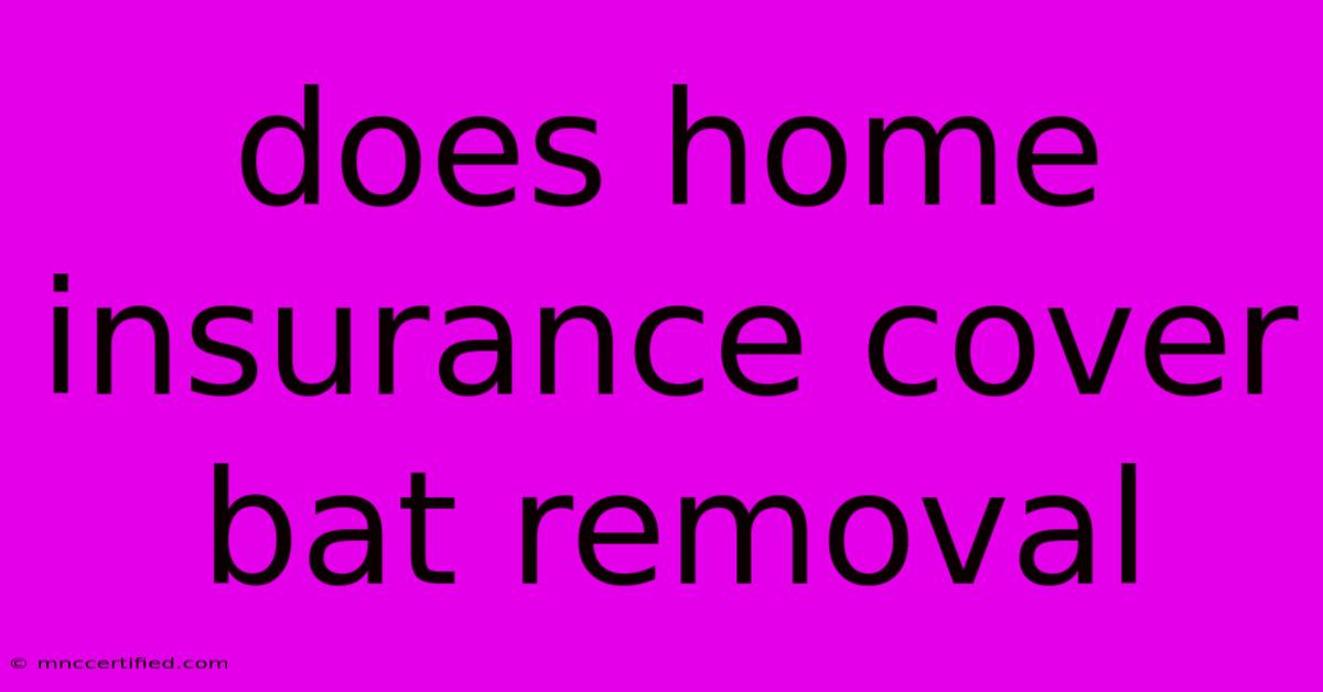 Does Home Insurance Cover Bat Removal