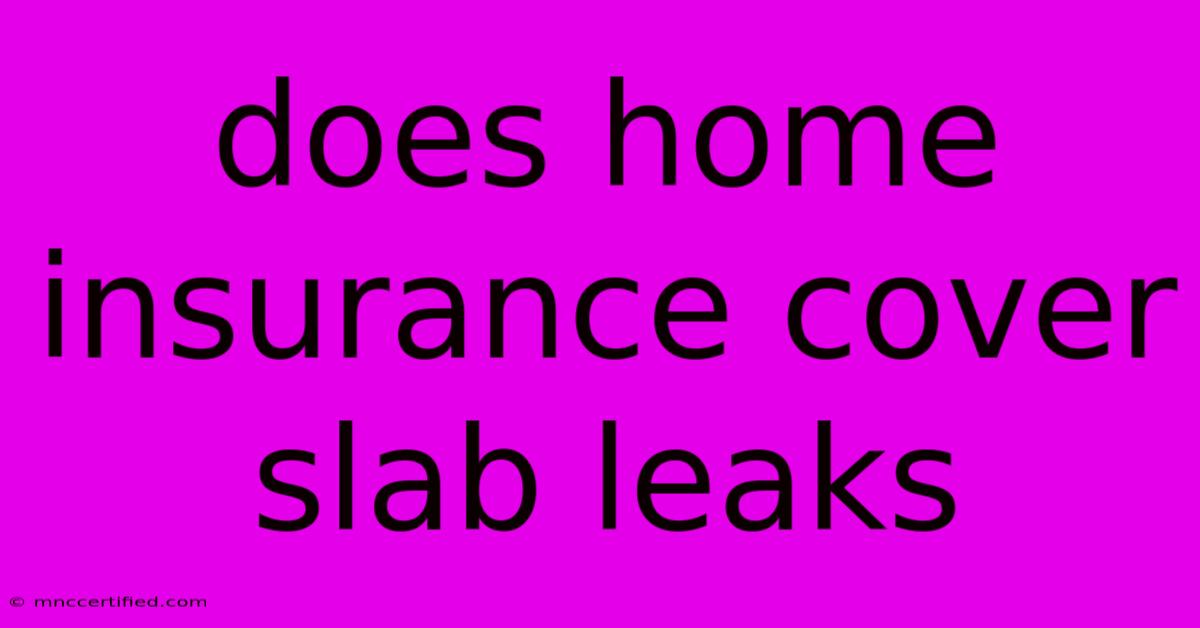 Does Home Insurance Cover Slab Leaks