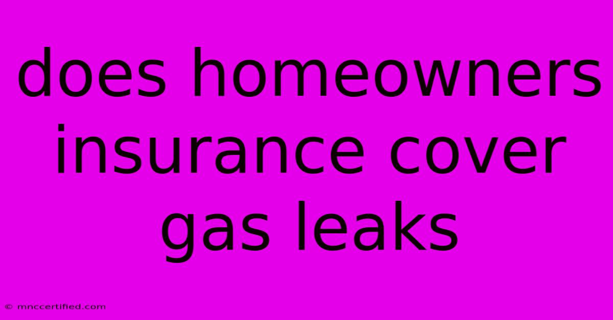 Does Homeowners Insurance Cover Gas Leaks