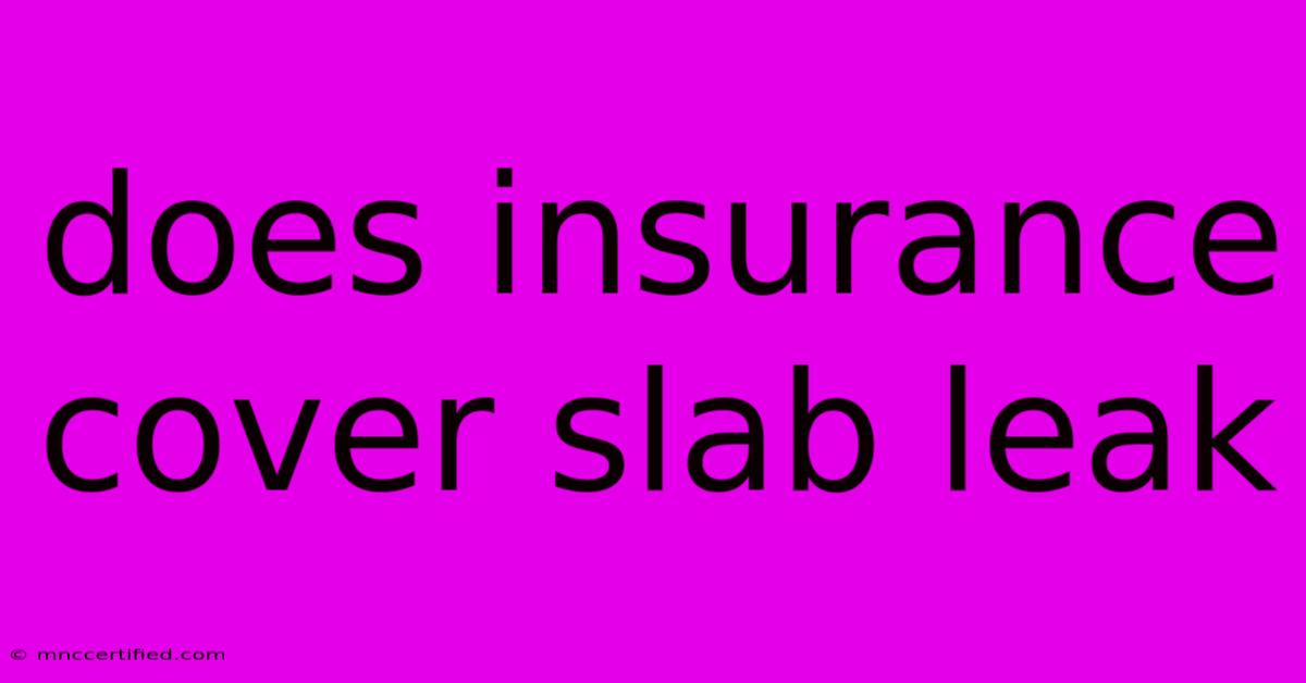 Does Insurance Cover Slab Leak