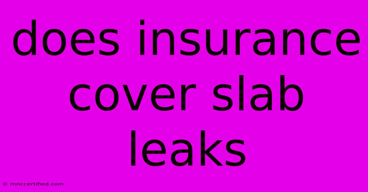 Does Insurance Cover Slab Leaks